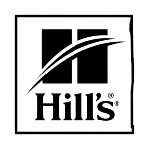 Gemini_Generated_Image_m8r0clm8r0clm8r0-removebg-preview