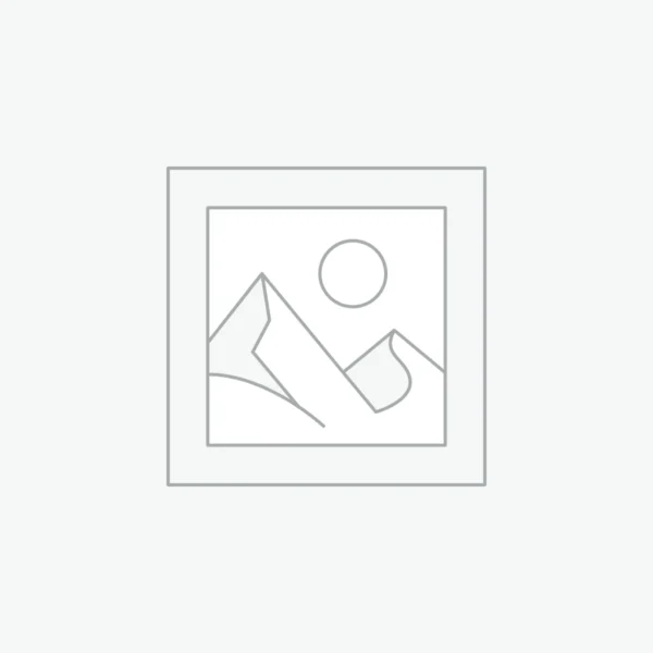 The Complete Web Development Bootcamp